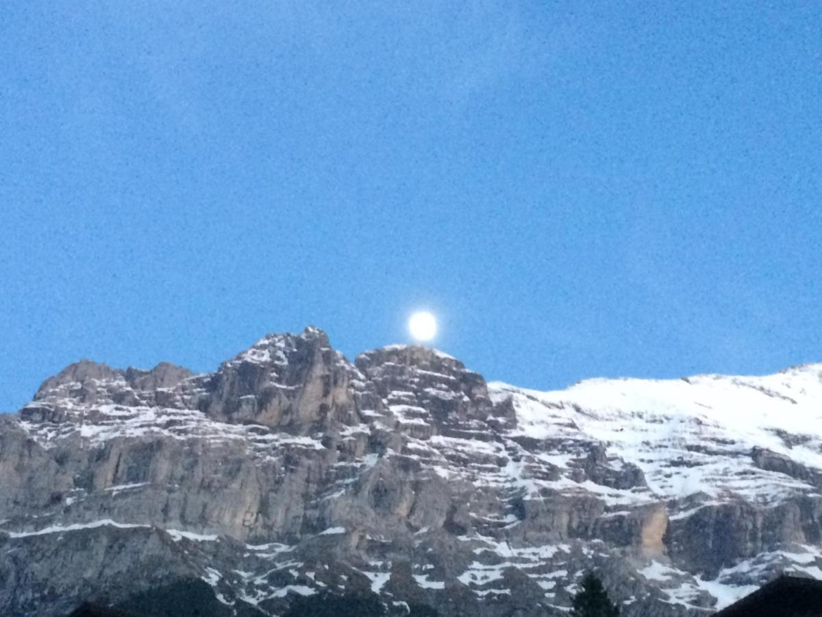Apartamento Luxury, New - Amazing Views Grindelwald Eiger Jungfrau Moench Exterior foto