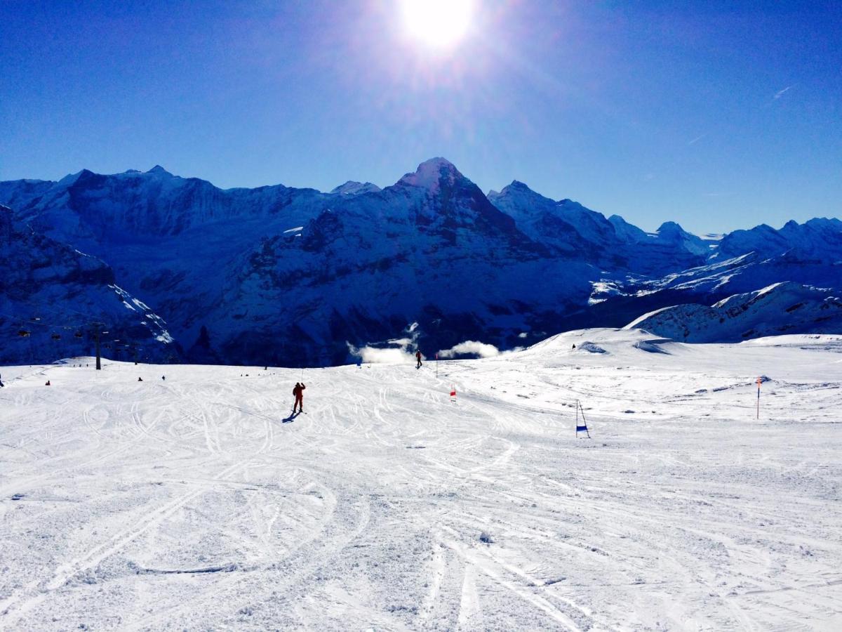 Apartamento Luxury, New - Amazing Views Grindelwald Eiger Jungfrau Moench Exterior foto