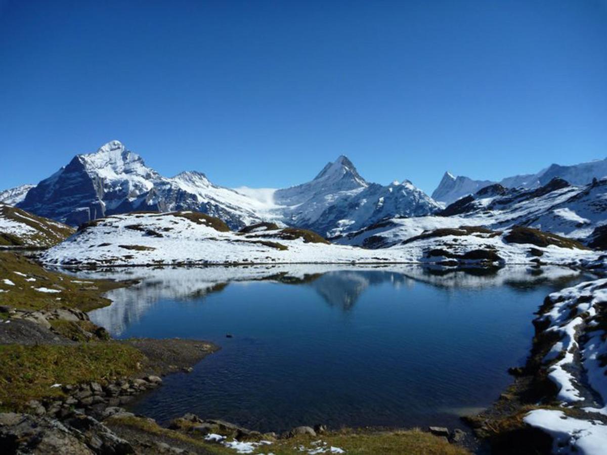 Apartamento Luxury, New - Amazing Views Grindelwald Eiger Jungfrau Moench Exterior foto